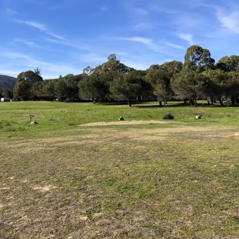 Laguna Lake Dog Off-Leash Park